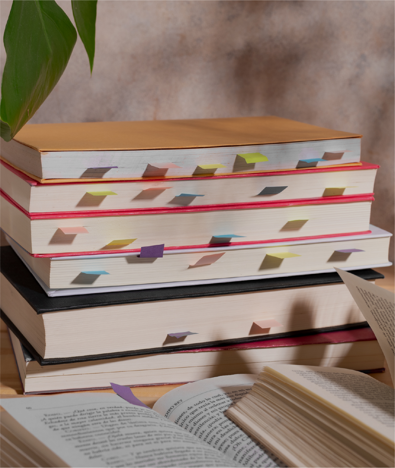 Supervisión profesional